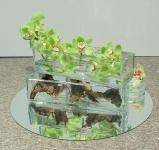 42 - Mary Lou Kingsbury.jpg 5.3K